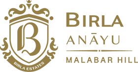 Birla Anayu Logo